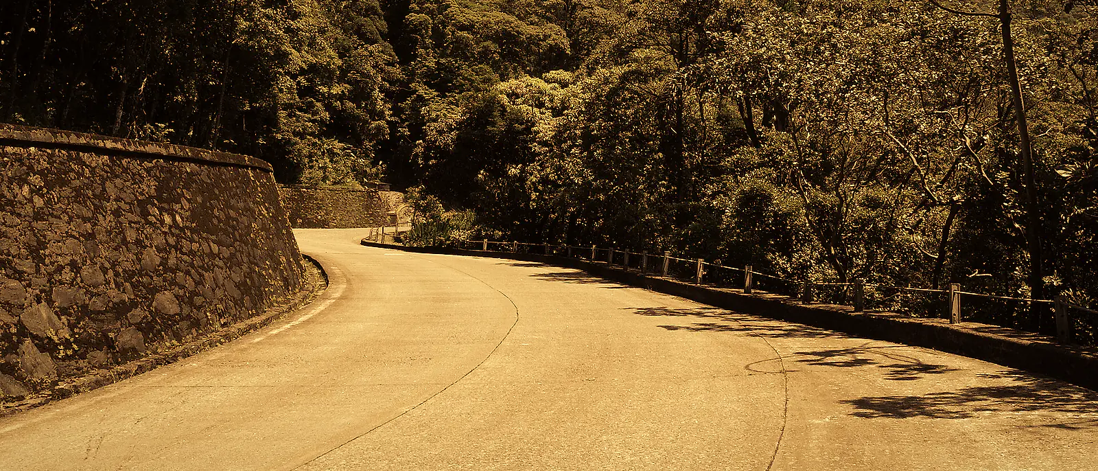 Estrada sinuosa entre a mata na Serra do Mar, ao amanhecer